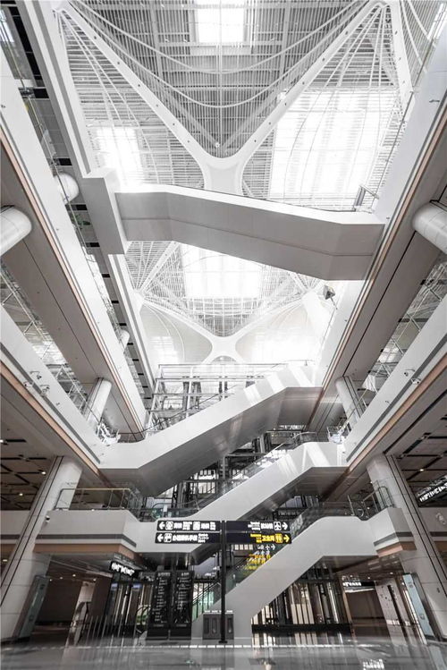 青島再添中國(guó)建設(shè)工程最高榮譽(yù)魯班獎(jiǎng)項(xiàng)目 德才股份榜上有名