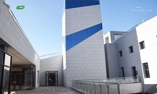 綠色冬奧,美麗中國(guó) 三棵樹(shù)助力延崇高速項(xiàng)目圓滿完成