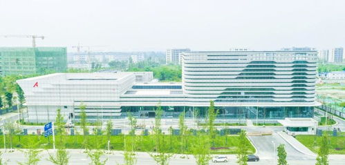 向 新 而行 循 興 出發(fā) 奮力寫好助推 五區(qū)共興 建工答卷